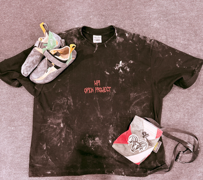 WPI TEE