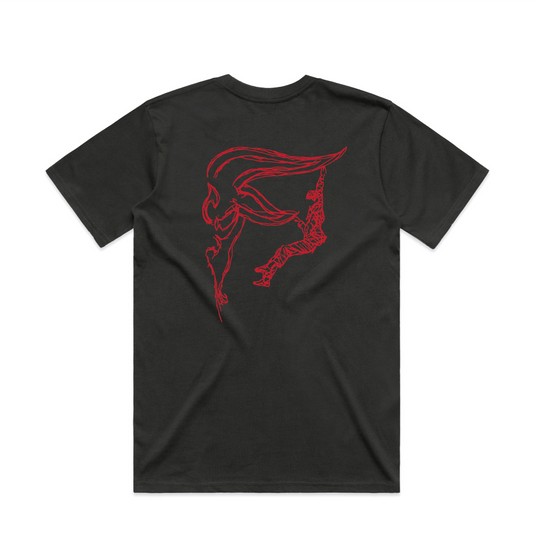 WPI TEE